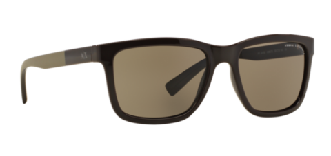 Armani Exchange Ax2019S 6088/73 Erkek Güneş Gözlüğü