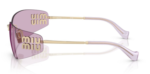 miu miu A51S ZVN90O güneş gözlüğü