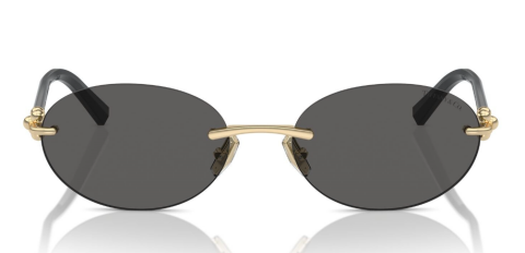 tiffany co 3104D 6216S4 56 güneş gözlüğü