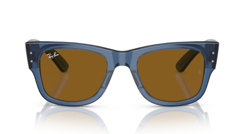 ray ban RB 0840S 668073 güneş gözlüğü