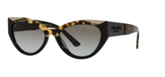 Prada Spr 03Ws 01M0A7  Kadın Güneş Gözlüğü