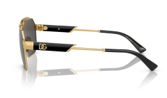 Dolce & Gabbana Dg 2294 02/87 Güneş Gözlüğü