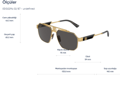 Dolce & Gabbana Dg 2294 02/87 Güneş Gözlüğü