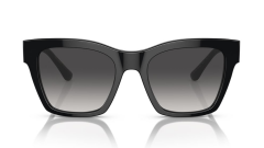 Dolce & Gabbana Dg 4384 501/8G Güneş Gözlüğü