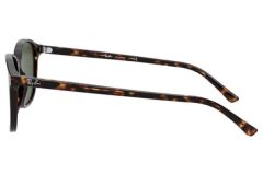 Rayban Rb 2193 902/31 55 Leonard Erkek Güneş Gözlüğü