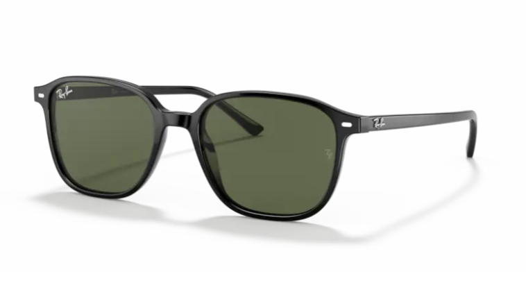 Rayban Rb 2193 901/31 55 Leonard Güneş Gözlüğü