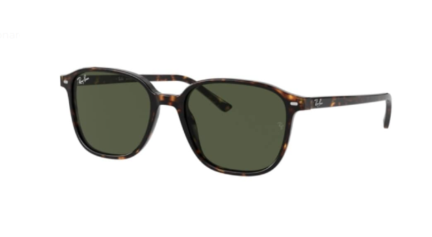 ray ban rb 2193 902/31 55 güneş gözlüğü