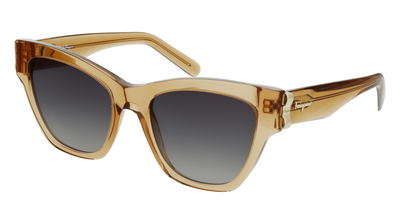 Salvatore Ferragamo Sf1010S 261 Kadın Güneş Gözlüğü