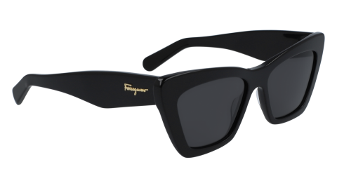 Salvatore Ferragamo Sf929S 001 Kadın Güneş Gözlüğü