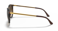 Rayban Rb 4274 856/13 53 Erkek Güneş Gözlüğü