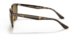 Rayban Rb 4362 710/83 55 Erkek Güneş Gözlüğü