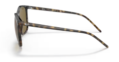 Rayban Rb 4387 710/73 56 Güneş Gözlüğü