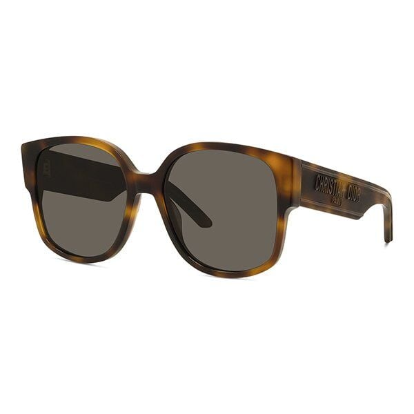 dior 40022u 53a güneş gözlüğü