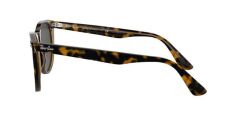 Rayban Rb 2185 1292/B1 55 Wayfarer Iı Güneş Gözlüğü