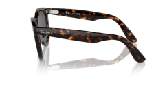 Rayban Rb 2241 902/B1 54 Güneş Gözlüğü