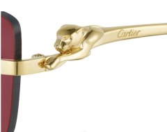 Cartıer 0430S 009 Güneş Gözlüğü