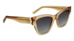 Salvatore Ferragamo Sf1010S 261 Kadın Güneş Gözlüğü