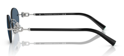 tiffany co 3104D 600180 56 güneş gözlüğü