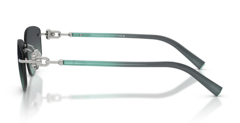 tiffany co TF3114 60012G güneş gözlüğü