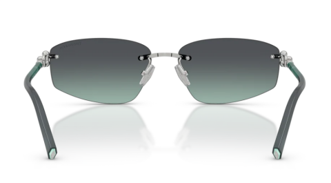 tiffany co TF3114 60012G güneş gözlüğü