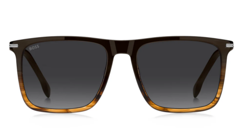 hugo boss  1750/G/S NNG/9O  güneş gözlüğü