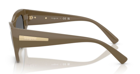 vogue 0VO5607S 317511 53 güneş gözlüğü