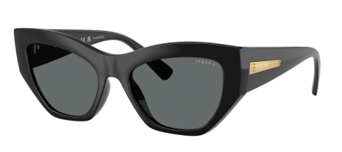vogue 0VO5607S W44/81 53 polarize güneş gözlüğü
