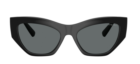 vogue 0VO5607S W44/81 53 polarize güneş gözlüğü