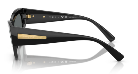 vogue 0VO5607S W44/81 53 polarize güneş gözlüğü