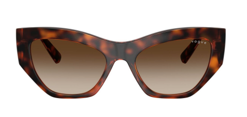 vogue 0VO5607S W65613 53 güneş gözlüğü