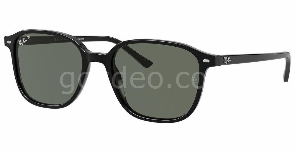 Rayban Rb 2193 901/58 53 Leonard Erkek Güneş Gözlüğü