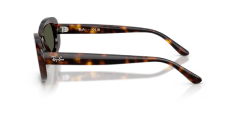 ray ban RB2221 902/31 56 güneş gözlüğü