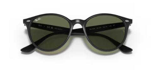 ray ban RB4305 601/9a 53 güneş gözlüğü