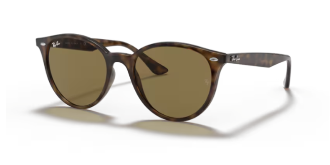 ray ban RB4305 710/73 53 güneş gözlüğü