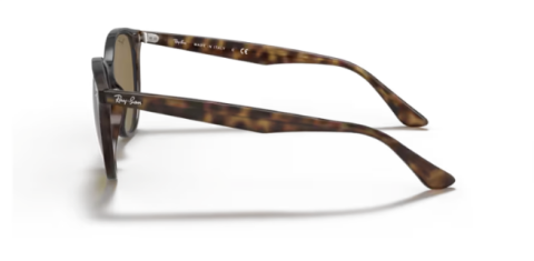 ray ban RB4305 710/73 53 güneş gözlüğü