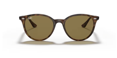 ray ban RB4305 710/73 53 güneş gözlüğü