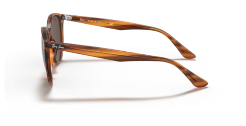 ray ban RB4305 820/73 53 güneş gözlüğü