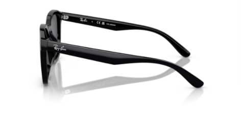 ray ban rb 4392D 601/81 66 güneş gözlüğü