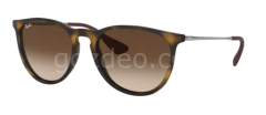 Rayban  Rb 4171 865/13 54 Erika Güneş Gözlüğü