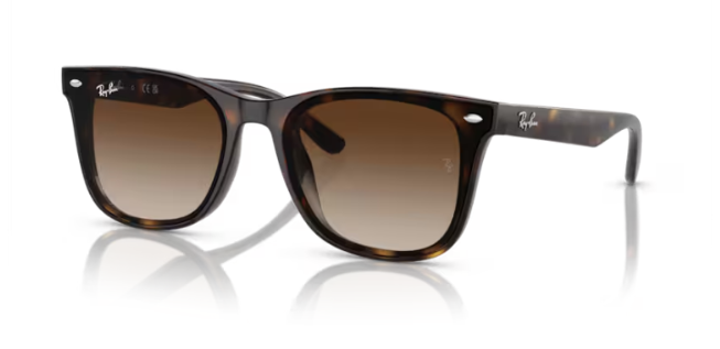 ray ban rb 4420 710/13 65 güneş gözlüğü