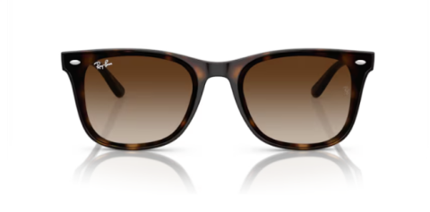 ray ban rb 4420 710/13 65 güneş gözlüğü