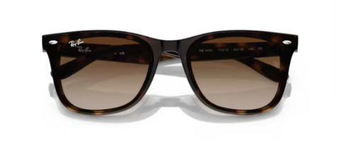 ray ban rb 4420 710/13 65 güneş gözlüğü
