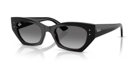 ray ban rb 4430 667711 52 güneş gözlüğü