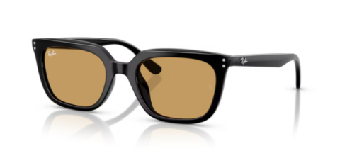 ray ban rb 4439D 901/73 54 güneş gözlüğü