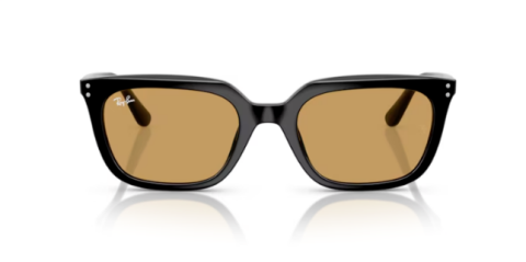 ray ban rb 4439D 901/73 54 güneş gözlüğü