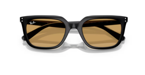 ray ban rb 4439D 901/73 54 güneş gözlüğü