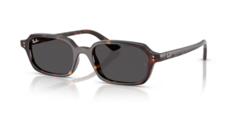 ray ban rb 4455 135987 52 güneş gözlüğü