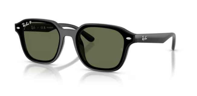 ray ban rb 4458D 601/9A 65 güneş gözlüğü