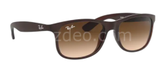 Rayban  Rb 4202 6073/13 55 Andy Erkek Güneş Gözlüğü