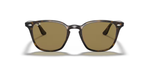 ray ban rb 4258 710/73 50 güneş gözlüğü